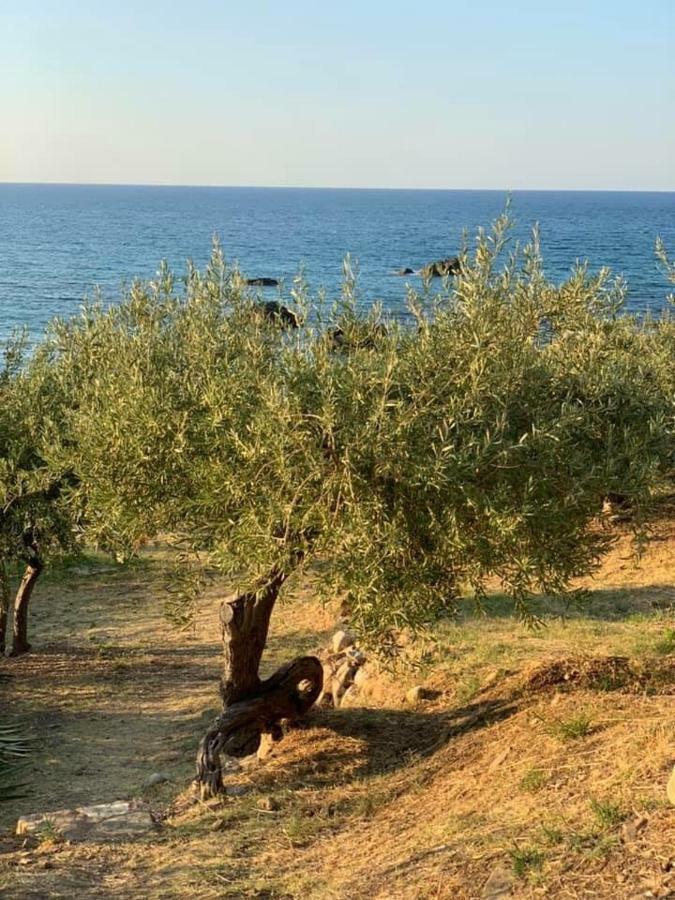 Ogliastro Sul Mare - Sleep And Dream Βίλα Cefalù Εξωτερικό φωτογραφία
